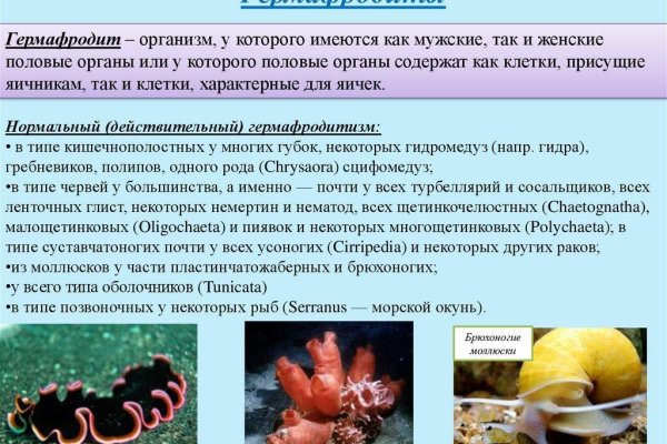 Как попасть на сайт кракен
