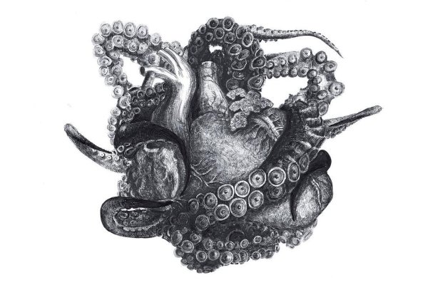 Kraken market зеркала