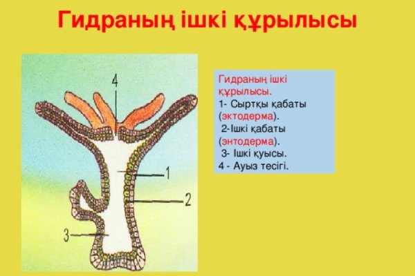 Ссылка на кракен официальный сайт
